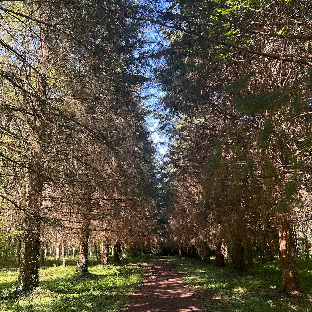 Forêt Régionale de la Roche-Guyon 1